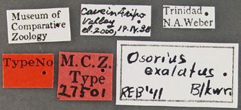Media type: image;   Entomology 27501 Aspect: labels